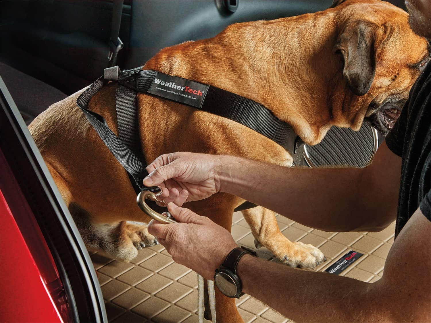 Weathertech - 84PH2830BK - Pet Restraint